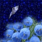 Голубь над синими тюльпанами
