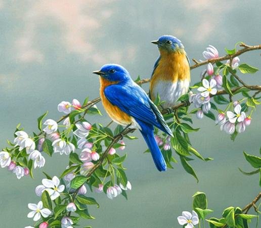 Открытки. День птиц! Птицы красивые на цветущей ветке