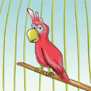 Попугай красный с задиристой челкой