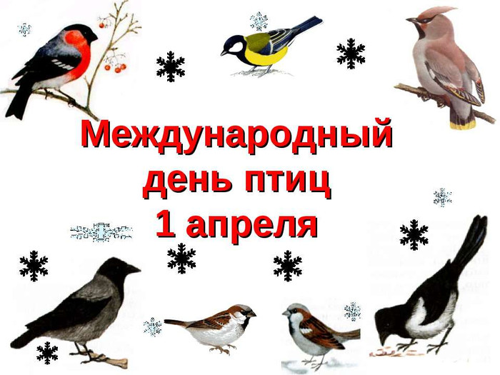 Всемирный день птиц!