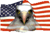 Орел с флагом США