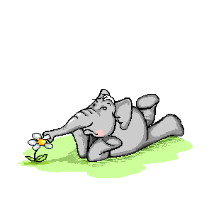Слоник любит цветы