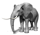  Большой ушастый <b>слон</b> 