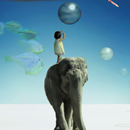 Девочка  на спине слона рассматривает шар