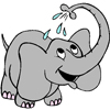 Слоненок поливает себя