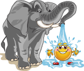 Смайлик купается под душем слона