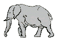 Шагающий слон