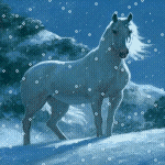 Белый конь на снегу
