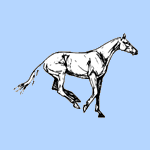  <b>Лошадь</b> прыгает через препятствия на голубом фоне 