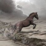  Конь <b>бросается</b> в море 