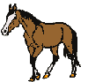  <b>Конь</b> с белым лобиком 