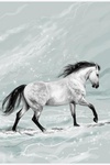 Красивый белый конь идет по снегу