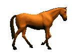 Гнедой конь