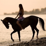 Девушка верхом на лошади едет по берегу залива