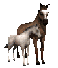  Лошадь с <b>жеребенком</b> 
