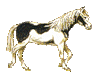  <b>Лошадь</b> 