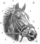 Звездный конь