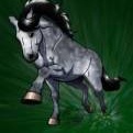 Серый конь