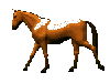Рыжий конь с белыми пятнами