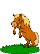 Лошадка на лужайке