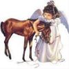Маленький ангел и лошадь