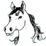 Белая лошадь Набросок карандаш