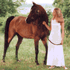 Лошадь и девушка