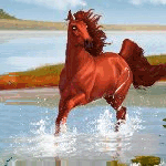 Конь в воде на берегу реки