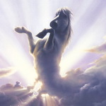 Белый конь в облаках неба
