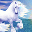 Конь с прекрасной белой гривой