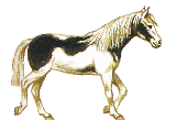 Разноцветная лошадка