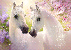 Пара белых лошадок в саду