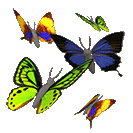 Бабочки разноцветные пархают
