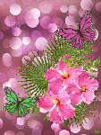 Две бабочки у розовых цветов