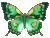  Бабочка, изменяющая окраску 