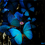  <b>Голубые</b> бабочки сидят на дереве, между ними сверкающие часы 