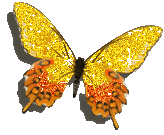  <b>Золотая</b> бабочка 