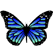  <b>Красивая</b> синяя бабочка 