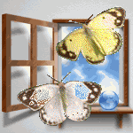 Бабочки возле открытого окна
