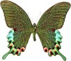 Прекрасная бабочка (6)