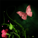  <b>Розовая</b> бабочка у цветка 