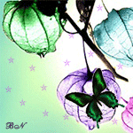 Зеленая бабочка сидит на светло - фиолетовом цветке