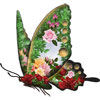  Бабочка- <b>очаровашка</b> с необычным рисунком 