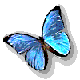 Бабочка (173)