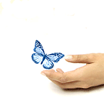 Оживший рисунок бабочки