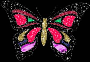  <b>Большая</b> блестящая бабочка 