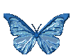  <b>Голубая</b> бабочка 