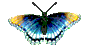 Бабочка (316)