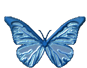 Очаровательная бабочка (5)