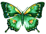 Волшебная бабочка прекрасного зеленого цвета